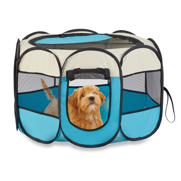 Winston Brands Popup Pet Pen Wayfair